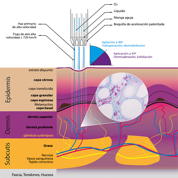 HYDRO-JETPEEL indicaciones